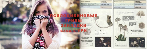 гидропоника Абаза