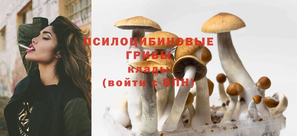 кокс Абинск