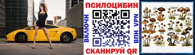 Галлюциногенные грибы Psilocybine cubensis Правдинск